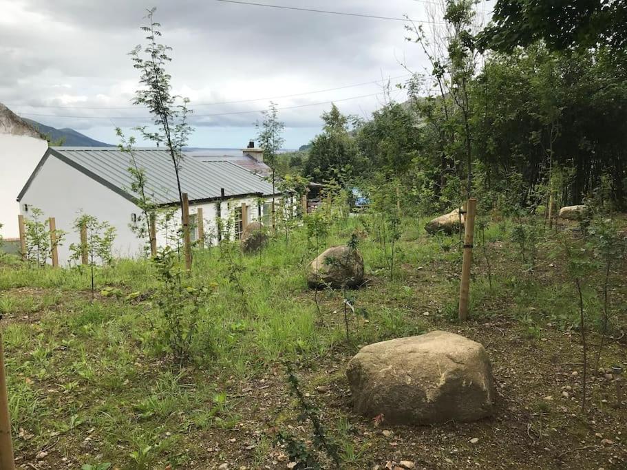 An Bothan-Cosy Cottage In The Cooley Mountains Dundalk Exterior foto